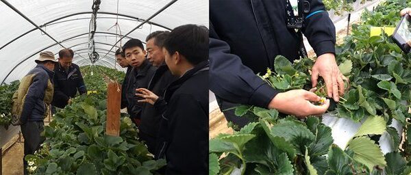 새해 첫 손님과 제품 첫 출하