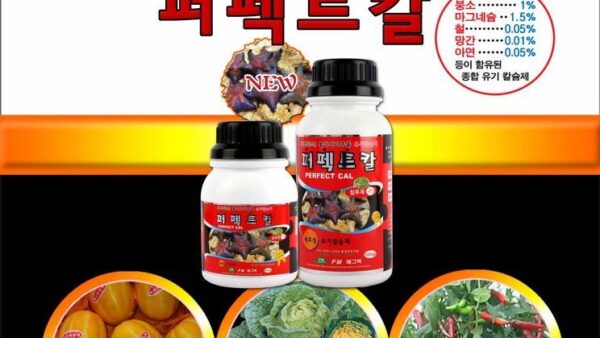 "퍼펙트칼" 프랭카드(참외,배추,고추) 시안입니다.